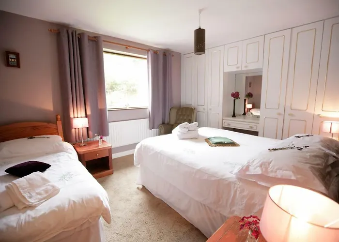 Abbey View 3* Galway