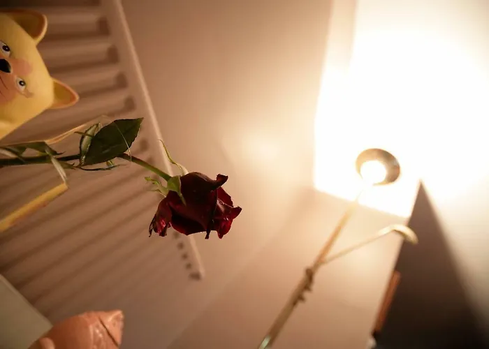 Abbey View Голуэй