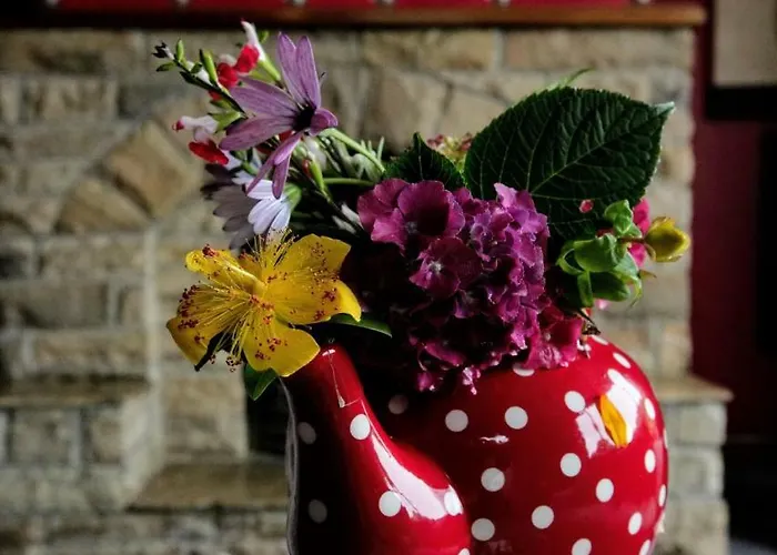 Abbey View Отель типа 