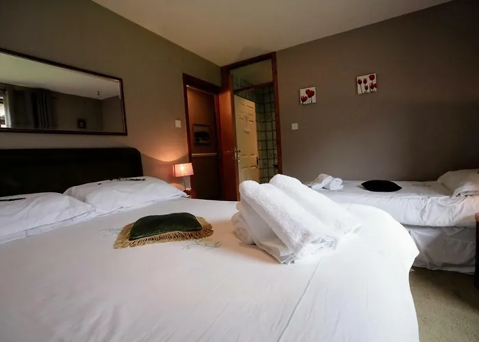 Abbey View B&B 골웨이