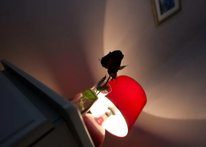 Abbey View B&B 골웨이