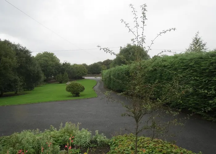 B&B Abbey View 골웨이