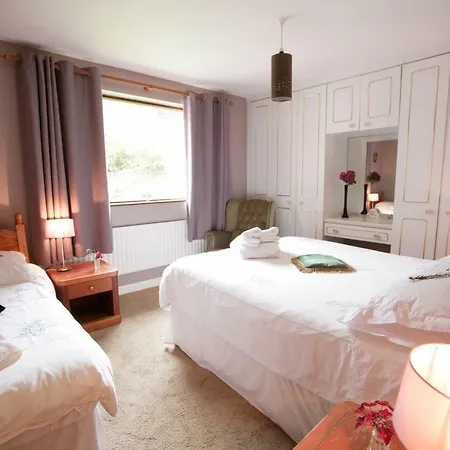 Abbey View 3* Galway