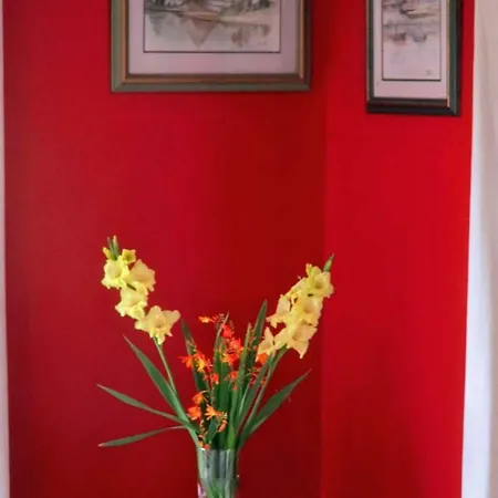 Abbey View Bed & Breakfast