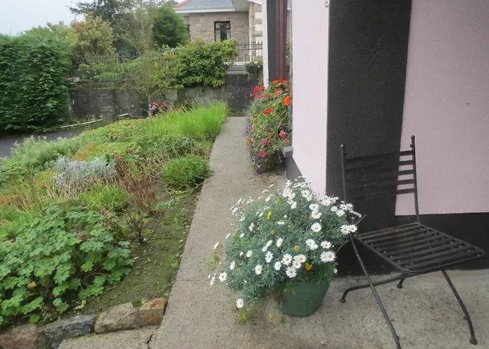 B&B Abbey View 골웨이