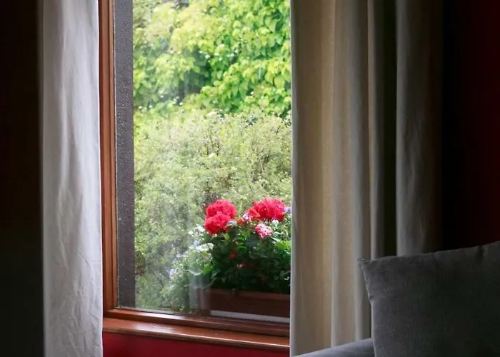 Abbey View B&B 골웨이